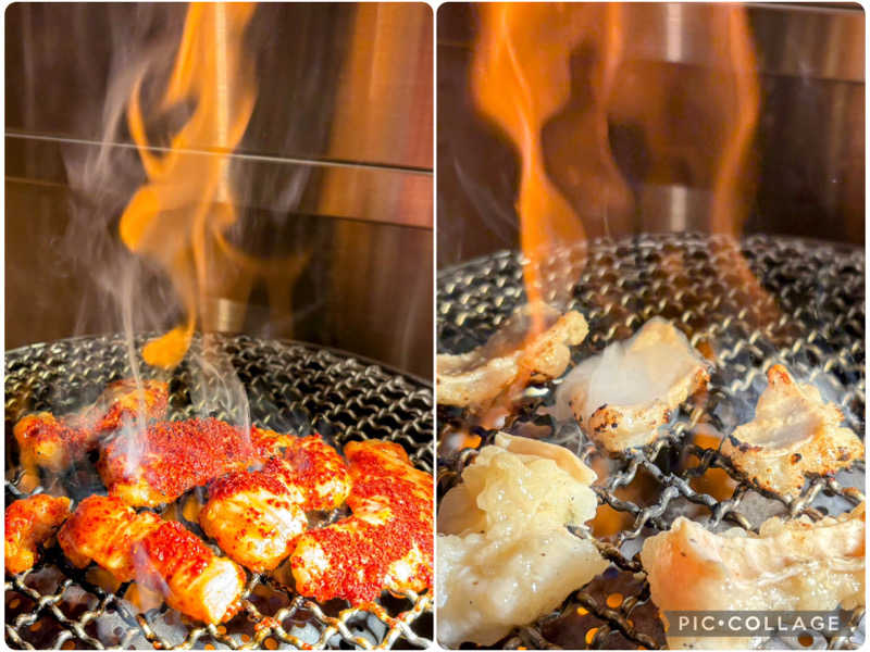 TZさんのカプセル&サウナ日本のサ活写真