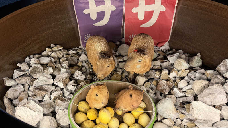 時のホテル【公式】中の人さんの富士山天然水SPA サウナ鷹の湯のサ活写真
