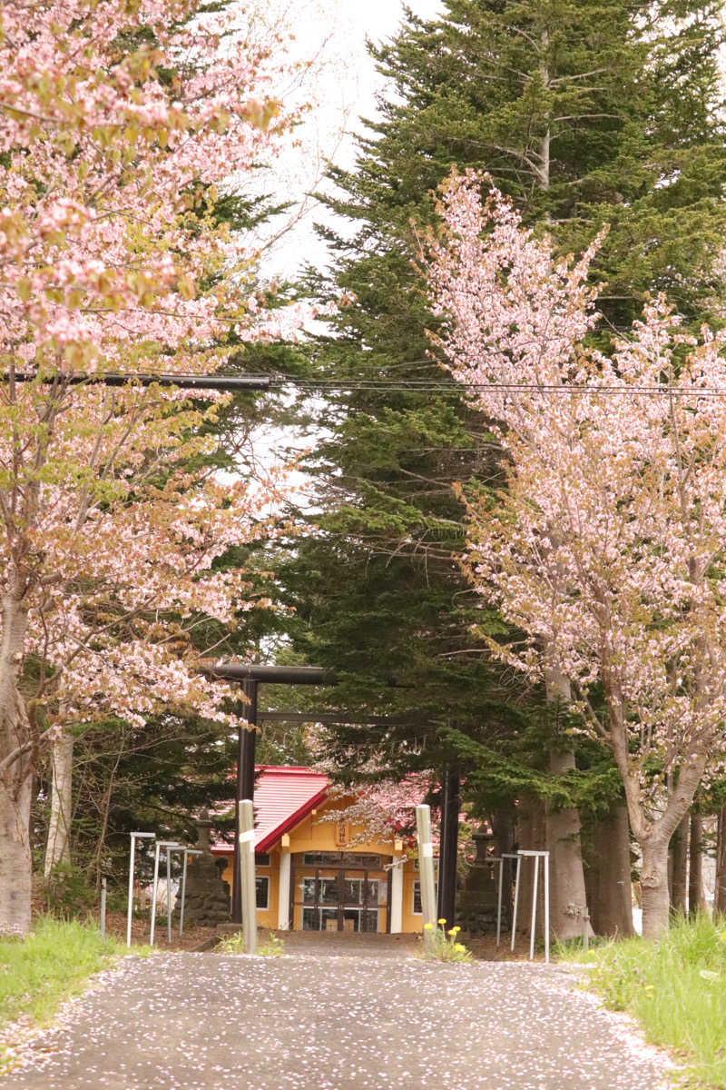 Kevinさんの赤井川カルデラ温泉・保養センターのサ活写真