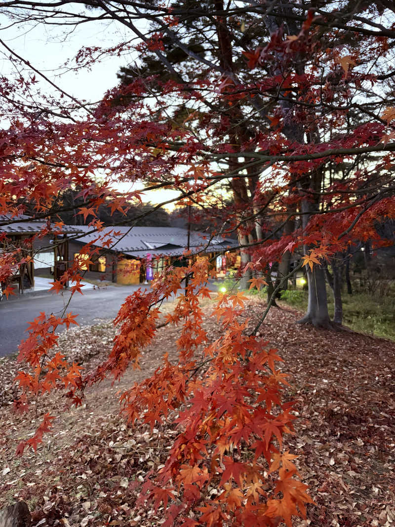 うにぃさんのSauna & Spa Green サウナ&スパ グリーン～愛宕山温泉～のサ活写真