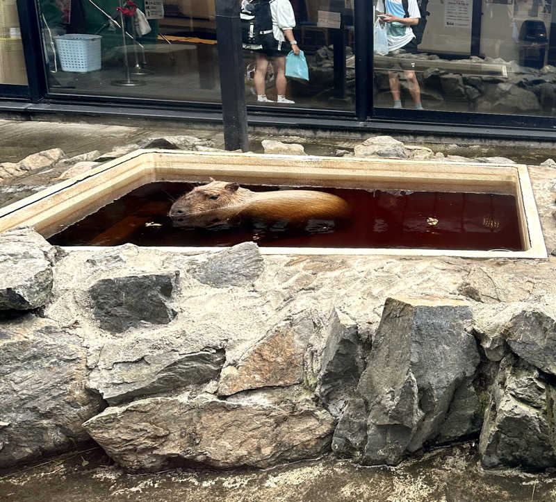 ネッパアビタイさんの石狩天然温泉 番屋の湯のサ活写真