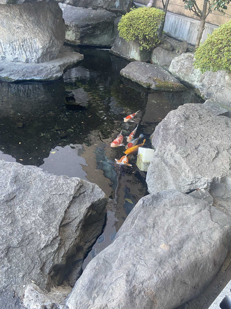 アリエル🧜‍♀️さんの駿河健康ランドのサ活写真