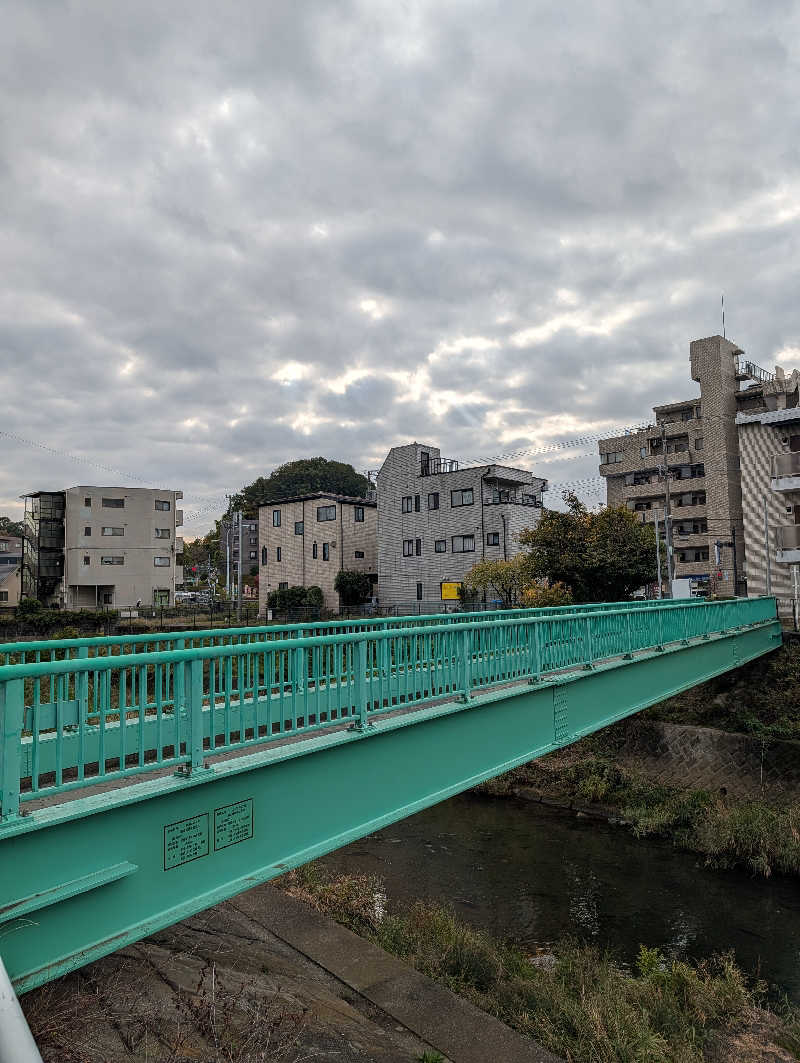 ドナウ川の漣さんの毎日サウナ 八王子店のサ活写真