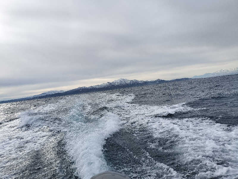 サウナ太郎さんの湯田上温泉  ホテル小柳 (oyanagi)のサ活写真