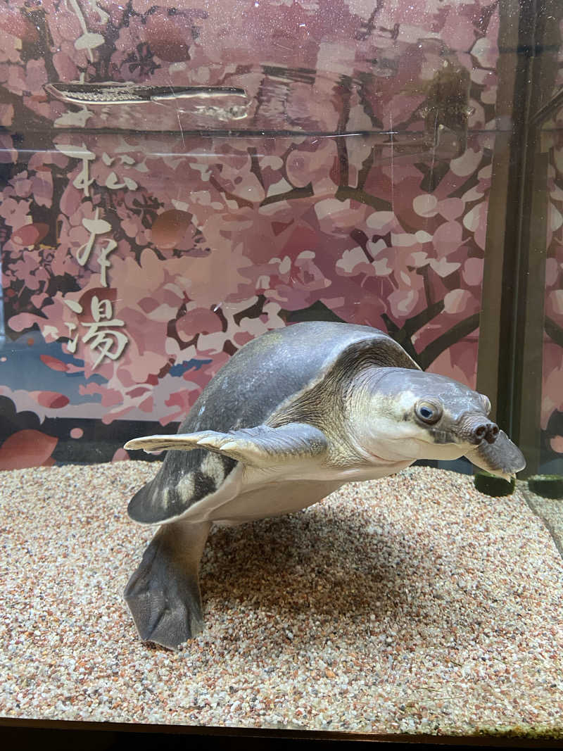 りくさんの松本湯のサ活写真