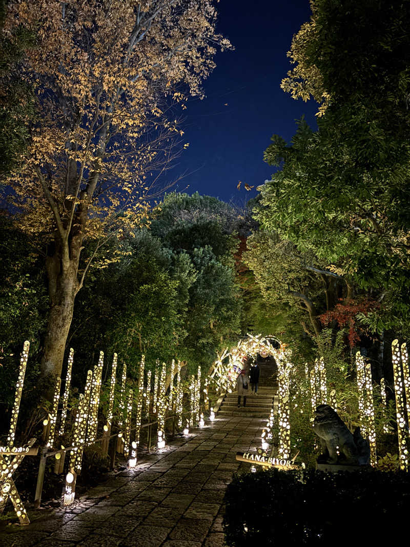 ニシザキ荘さんのよみうりランド眺望温泉 花景の湯のサ活写真