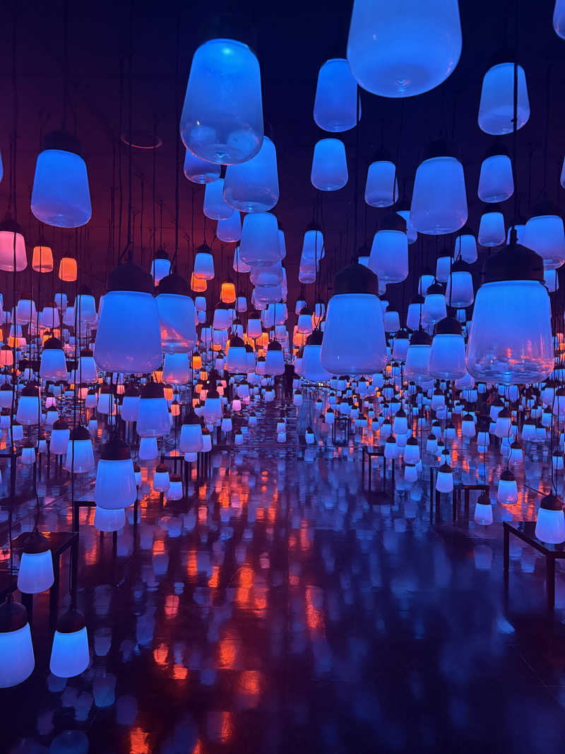 ありんこ。さんの御船山楽園ホテル  らかんの湯のサ活写真