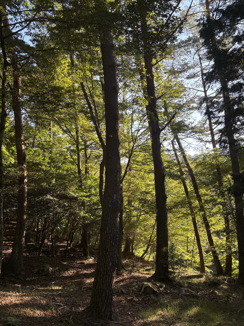 ありんこ。さんの端海野自然森林公園キャンプ場のサ活写真