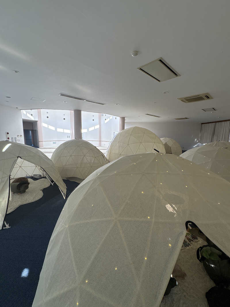 ありんこ。さんの天然温泉日王の湯のサ活写真