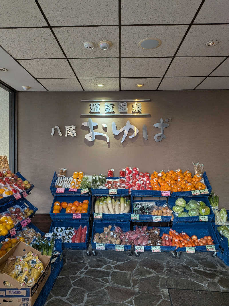 炭酸泉弱しゅんしゅんさんの源気温泉八尾おゆばのサ活写真