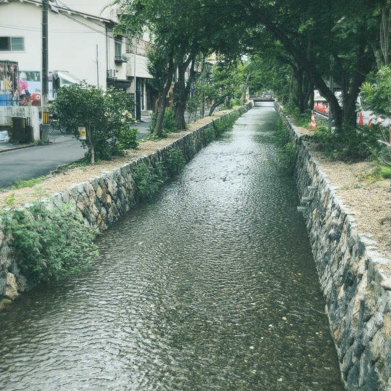 アッシさんのサウナの梅湯のサ活写真