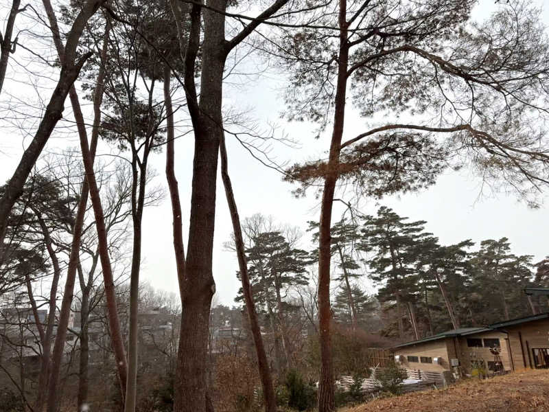 アッシさんのSauna & Spa Green サウナ&スパ グリーン～愛宕山温泉～のサ活写真