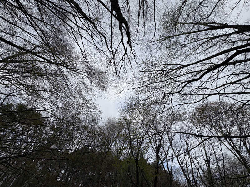 アッシさんの森のサウナ kaveri(カベリ)-エンゼルフォレスト白河高原のサ活写真