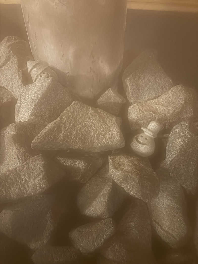 アッシさんのLita-saunaのサ活写真