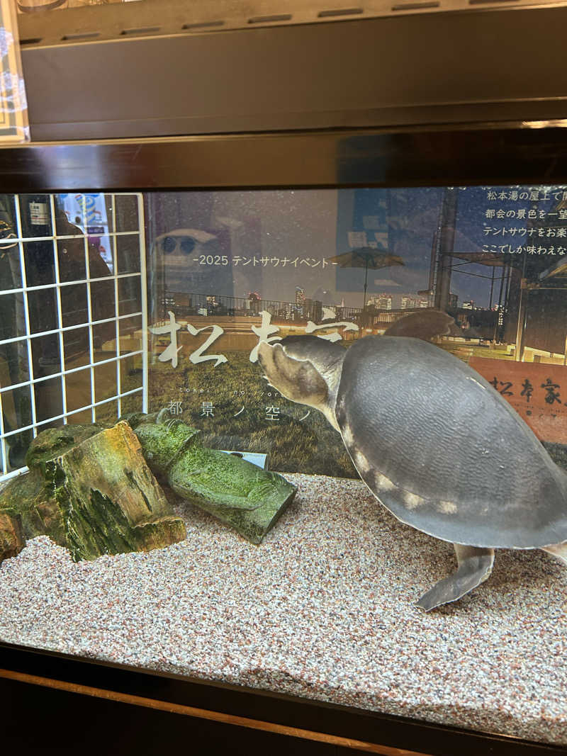 サウナ係長さんの松本湯のサ活写真