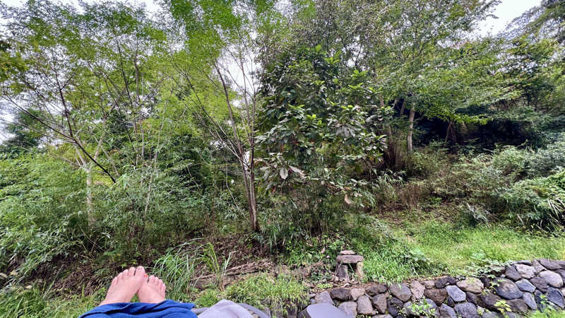 むーさんのSATOYAMA TERRACEのサ活写真