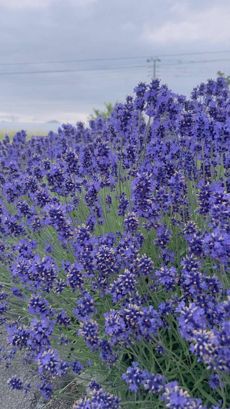 Na_____tsuさんの天然温泉 万華の湯 (ふらのラテール)のサ活写真