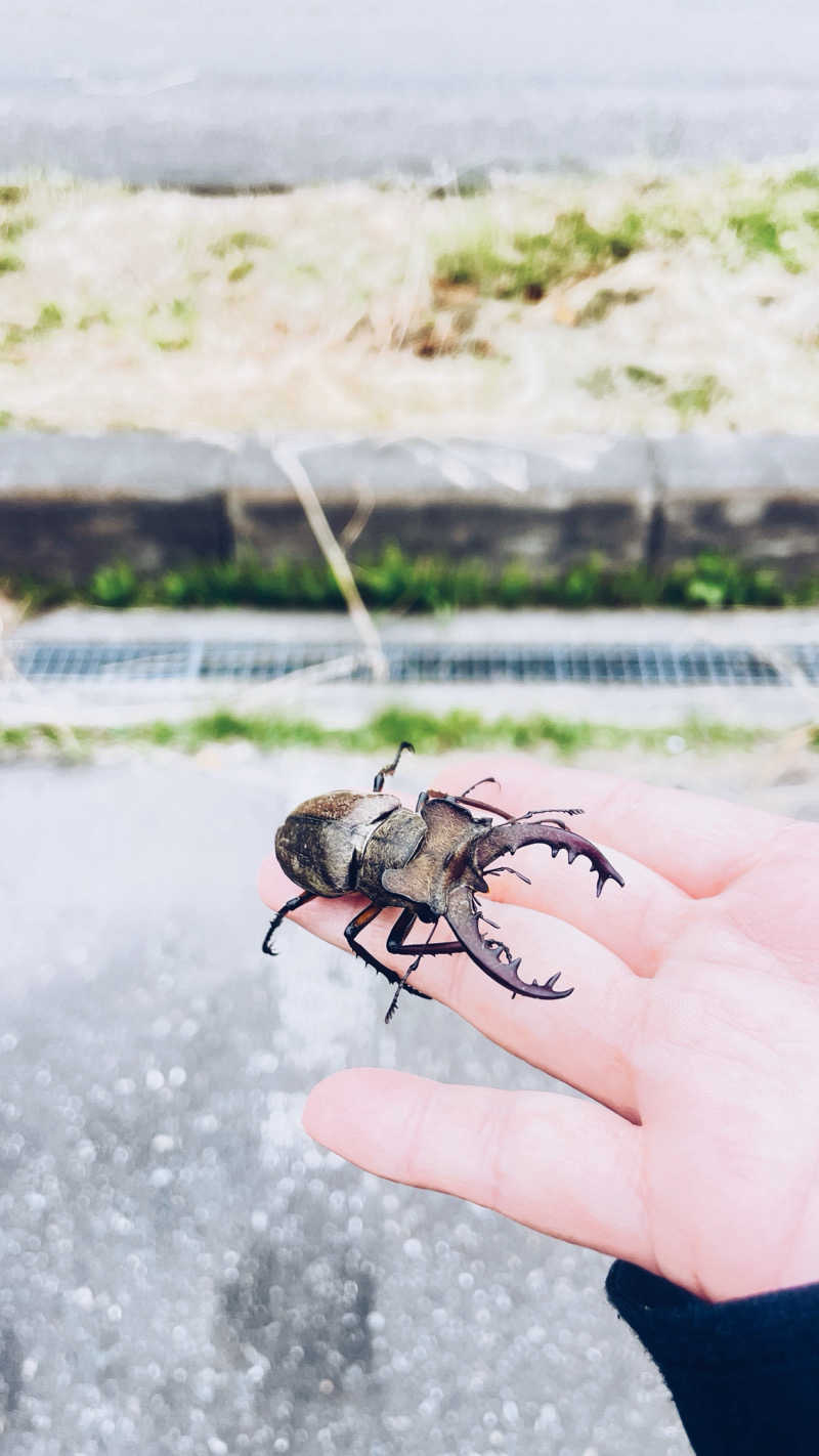 Na_____tsuさんの日向温泉のサ活写真