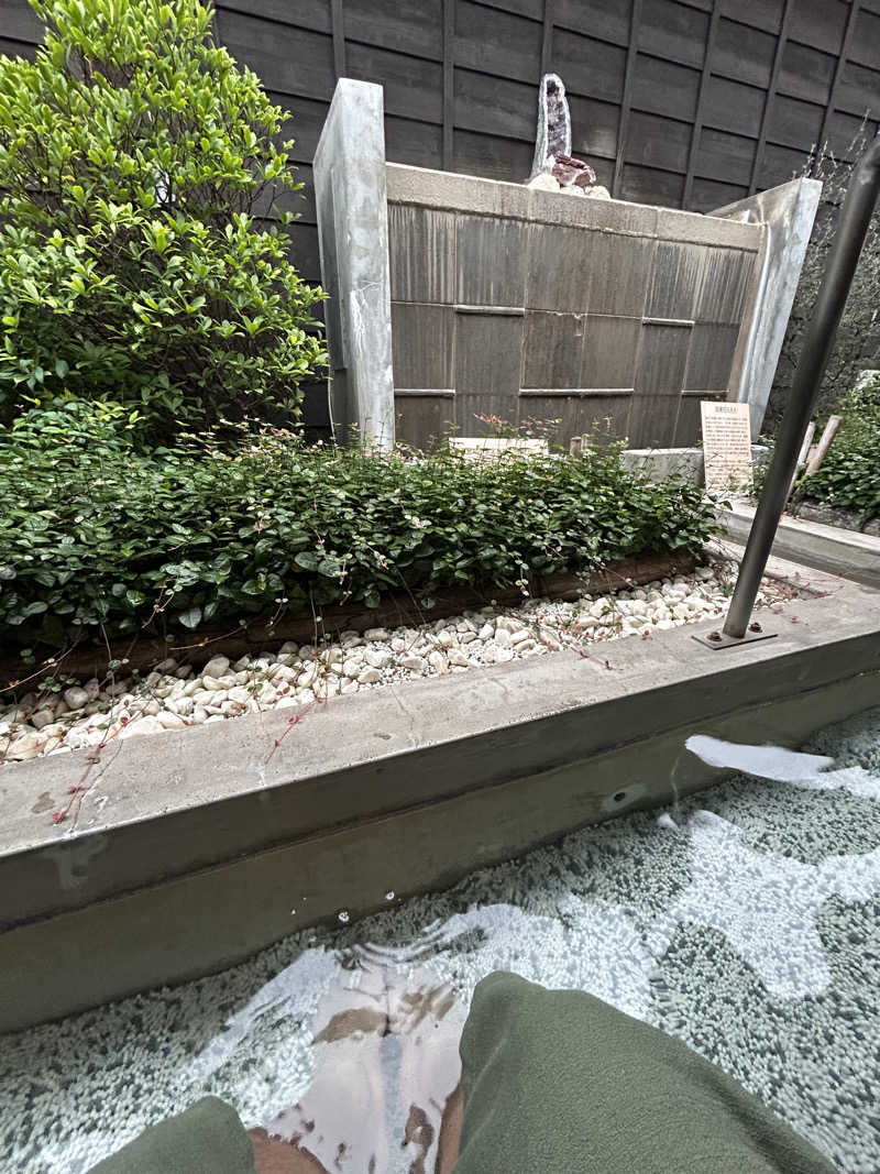 もややさんの天然自家源泉 星音の湯のサ活写真