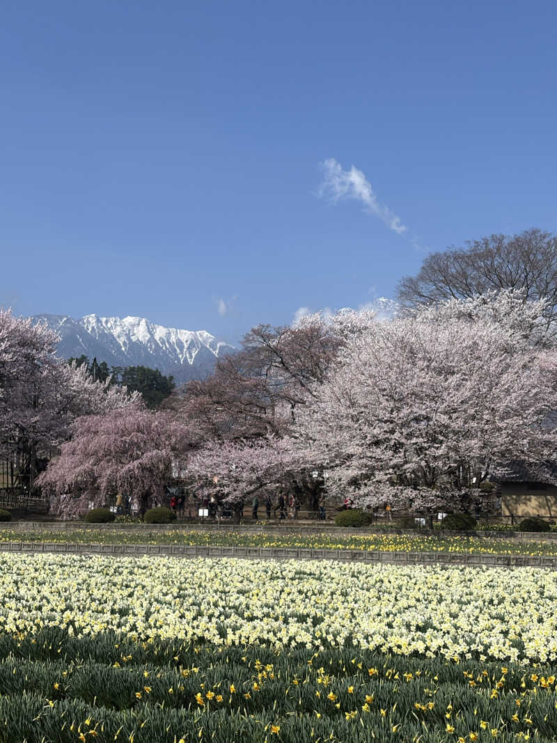 こーじさんの甲斐大泉温泉パノラマの湯のサ活写真