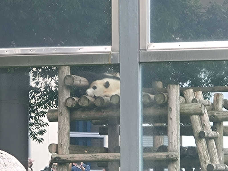 ぷり男さんの有田川温泉 光の湯のサ活写真