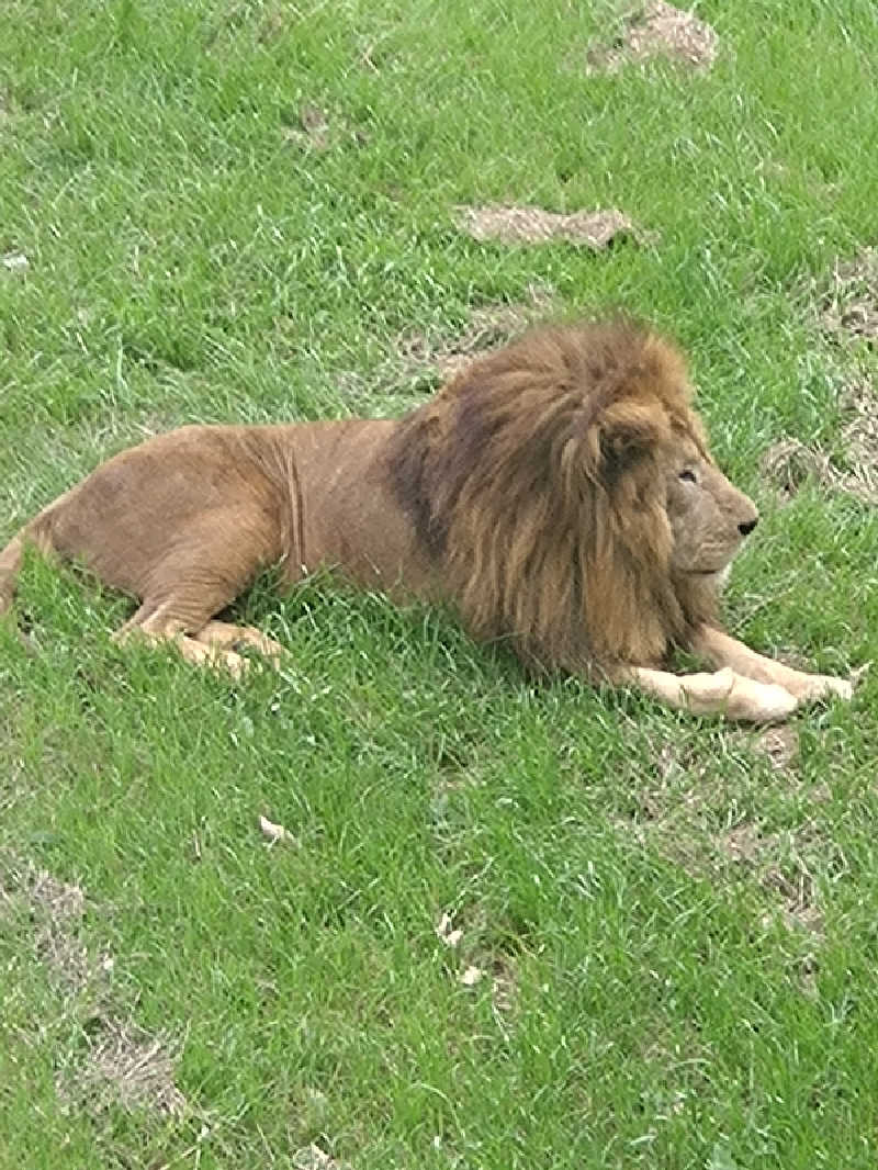 ぷり男さんの有田川温泉 光の湯のサ活写真