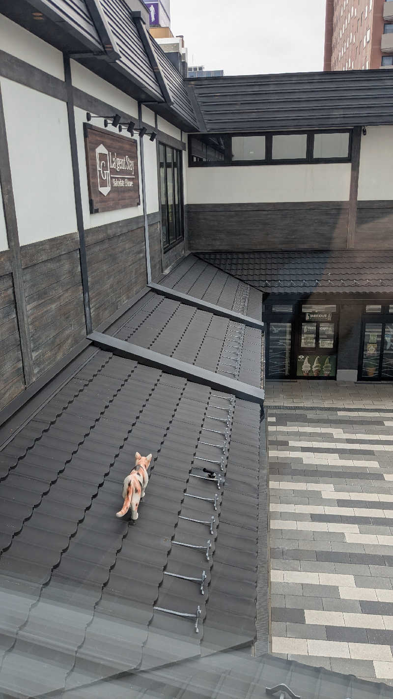 ぶーじさんのぽんの湯(ラ・ジェント・ステイ函館駅前)のサ活写真