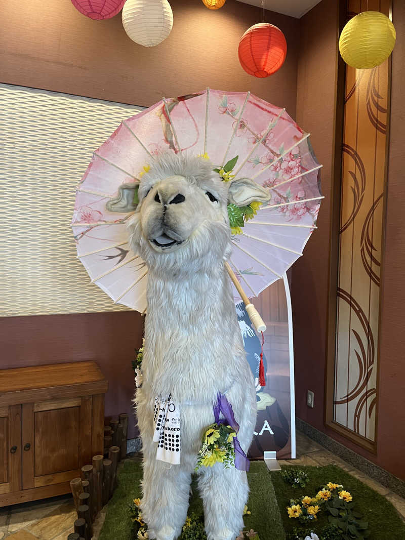 ナさんの湯の郷ほのか 蘇我店のサ活写真