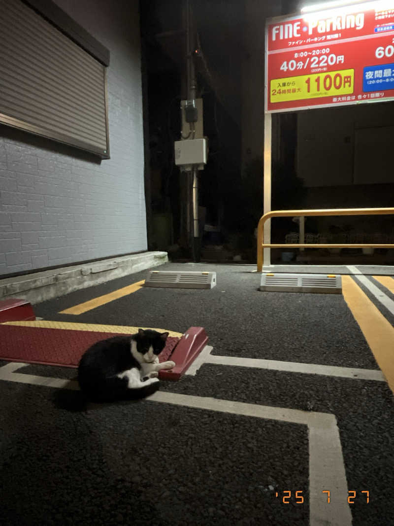 シャ・シャンシャンさんの藤の湯のサ活写真