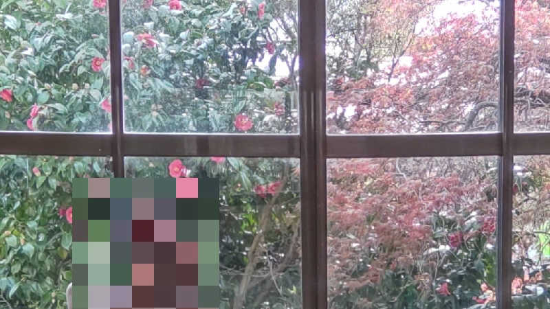 真吾さんの桐の湯のサ活写真