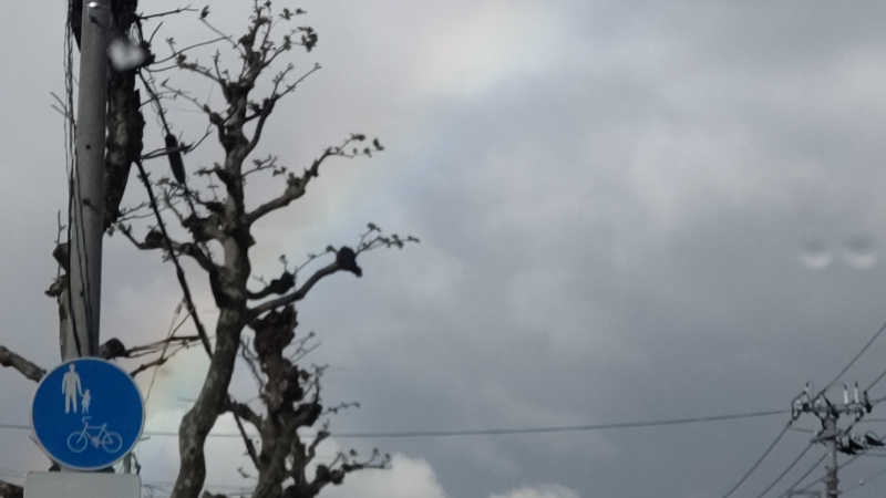 真吾さんの函館高温源泉 湯の箱こみちのサ活写真