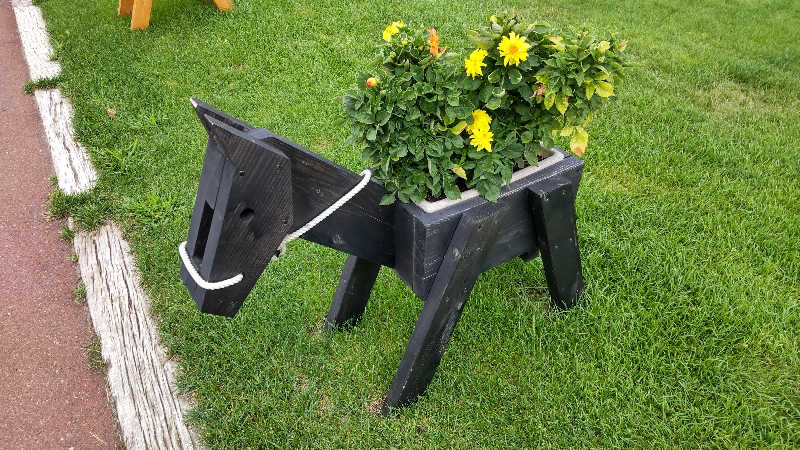 真吾さんのプレミアホテル-CABIN-札幌のサ活写真