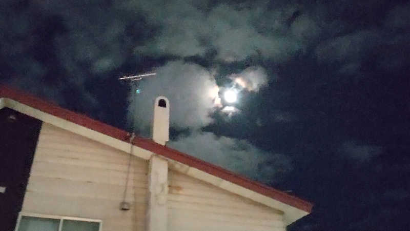 真吾さんのにしき温泉のサ活写真