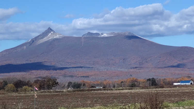 真吾さんの山の手温泉のサ活写真