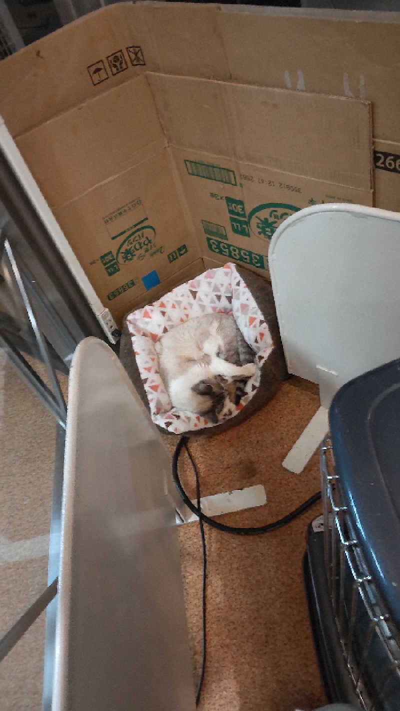 真吾さんの花園温泉のサ活写真