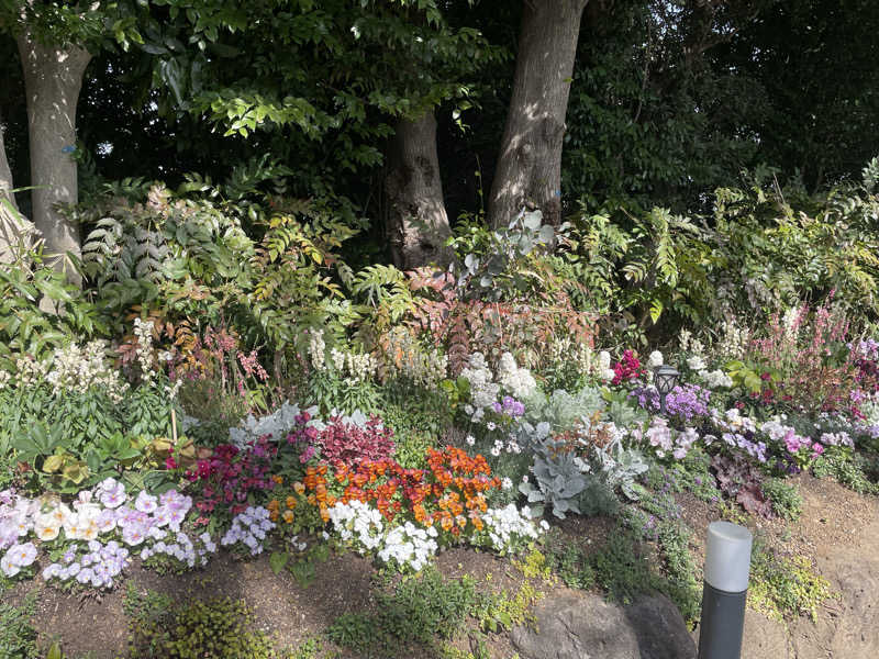 もりさんのよみうりランド眺望温泉 花景の湯のサ活写真