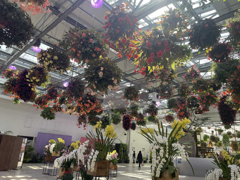 もりさんのよみうりランド眺望温泉 花景の湯のサ活写真