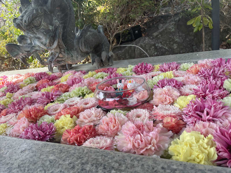 もりさんのよみうりランド眺望温泉 花景の湯のサ活写真