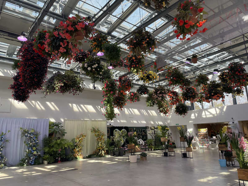 もりさんのよみうりランド眺望温泉 花景の湯のサ活写真