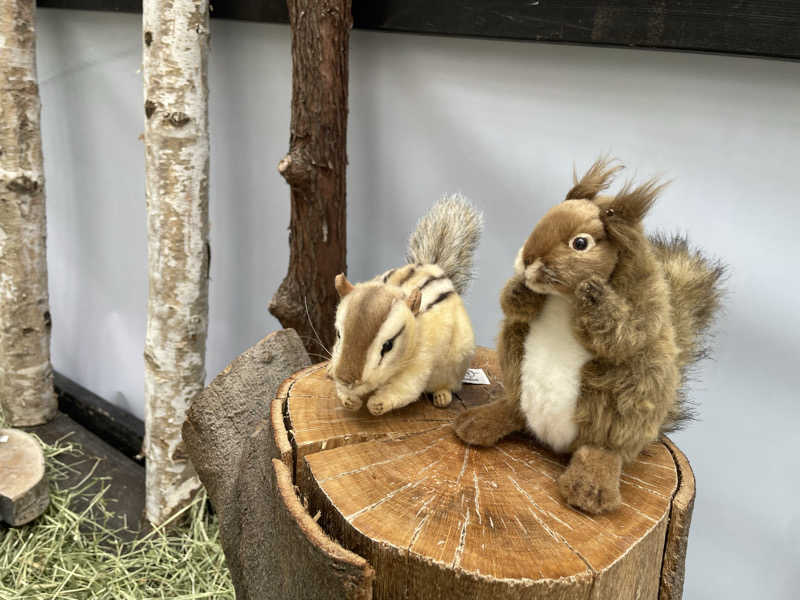 もりさんのよみうりランド眺望温泉 花景の湯のサ活写真