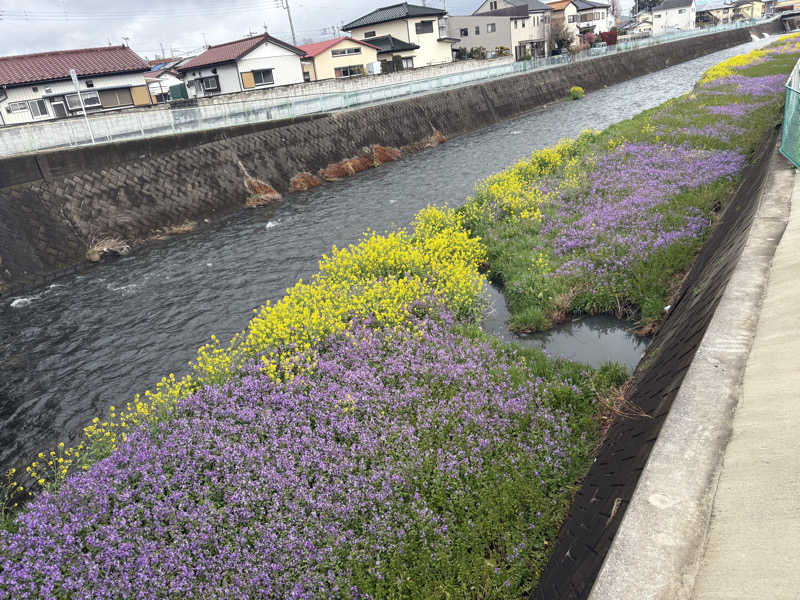 スイミーさんのまえばし駅前天然温泉ゆ〜ゆのサ活写真