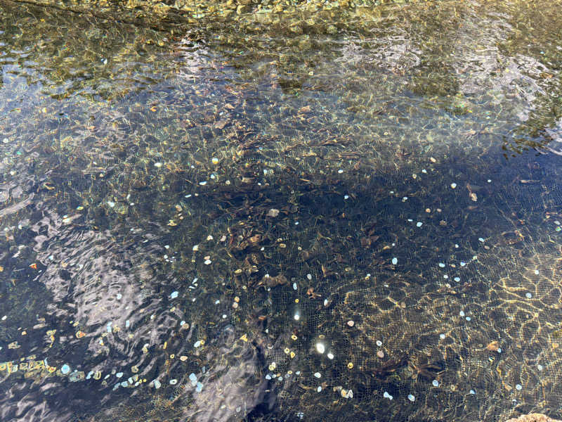 スイミーさんの天然温泉アーバンクア SPA & LIVINGのサ活写真