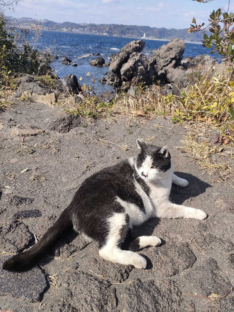 ゆづたれさんの桜島マグマ温泉 国民宿舎 レインボー桜島のサ活写真