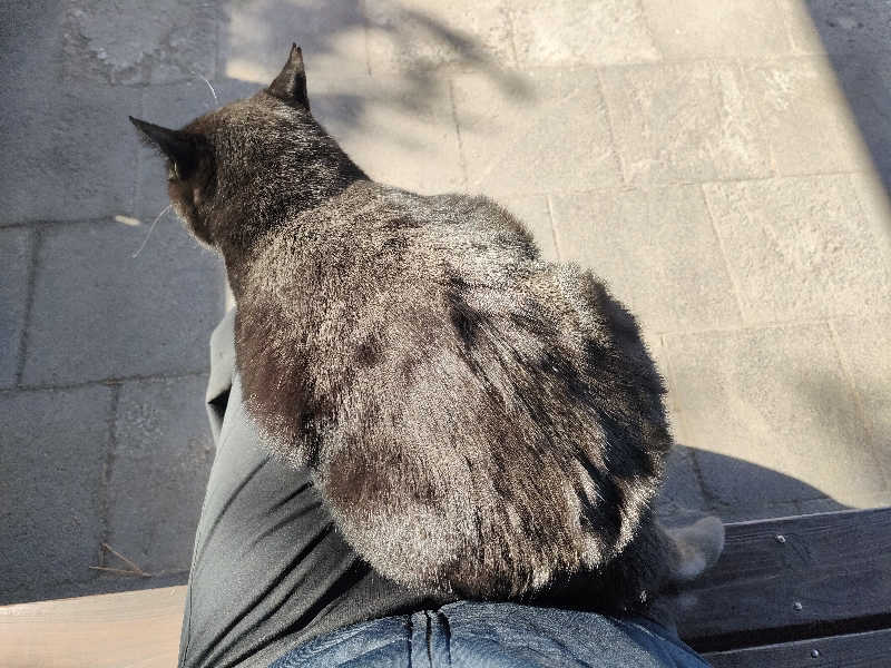 ゆづたれさんの桜島マグマ温泉 国民宿舎 レインボー桜島のサ活写真