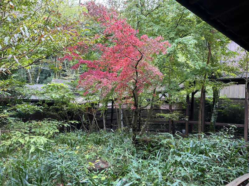 ペップさんのモダン湯治 おんりーゆーのサ活写真