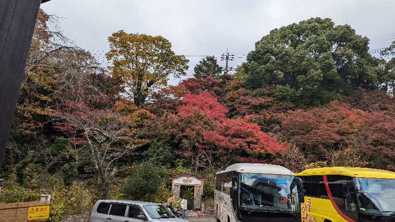 シェフさんの有馬温泉 太閤の湯のサ活写真