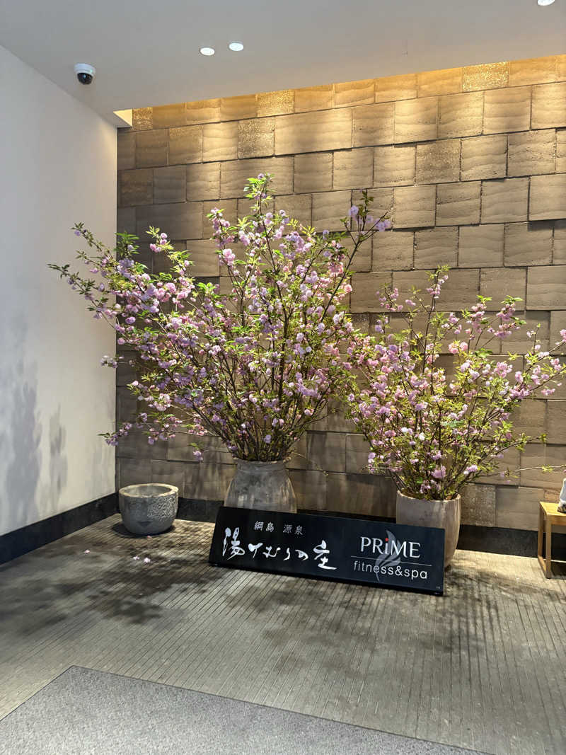 Saaさんの綱島源泉 湯けむりの庄のサ活写真