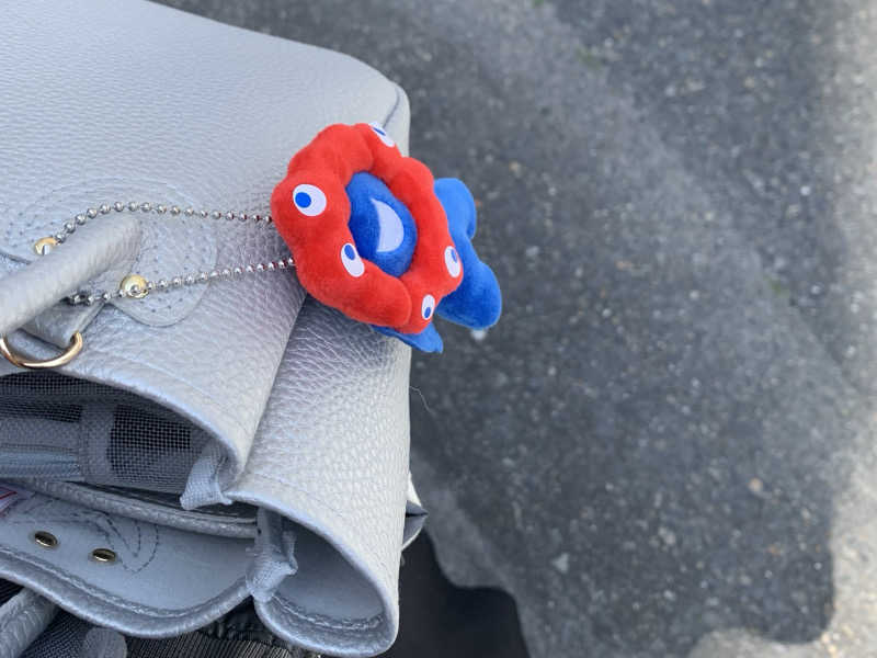 ゆーあさんのリラクゼーションスパ アペゼのサ活写真