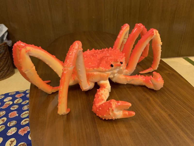 ゆーあさんの報徳湯のサ活写真