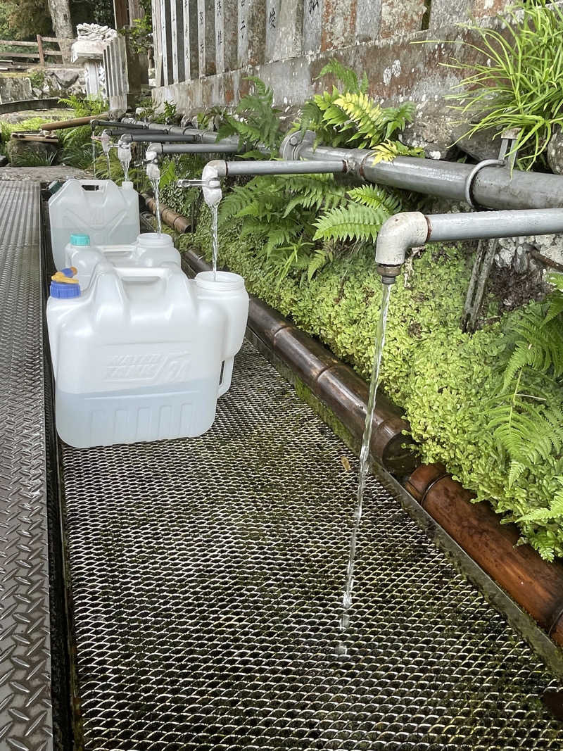 うどん癖さんの畑冷泉館のサ活写真